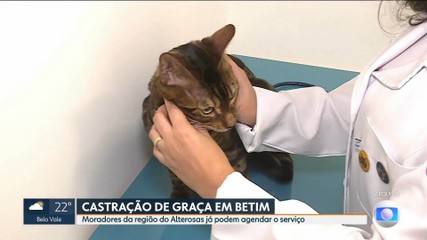 VÍDEOS: MG1 de segunda-feira, 4 de agosto de 2025