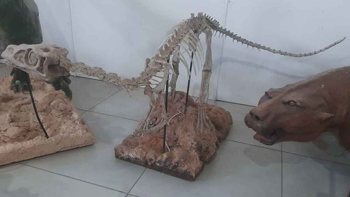 G1 - Revista científica traz descrição de dinossauro gigante da Argentina -  notícias em Ciência e Saúde