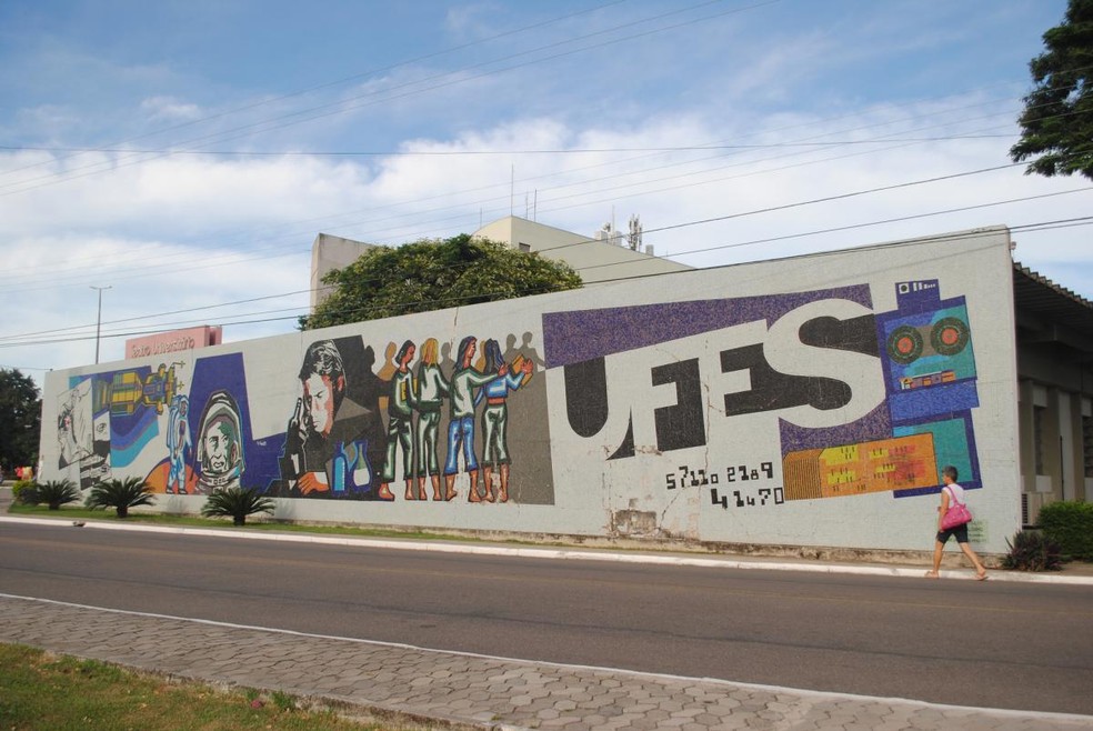 Mosaico da Ufes foi feito por Raphael Samú — Foto: Divulgação/Ufes