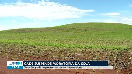 Cade suspende moratória da soja; entenda
