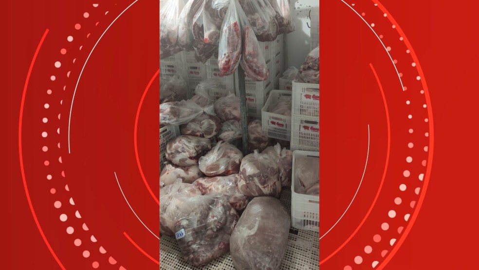 6 toneladas de carnes estragadas e sem procedência: Distribuidora de Vila Velha, no ES, é fechada e empresário é preso — Foto: Divulgação/Polícia Civil 