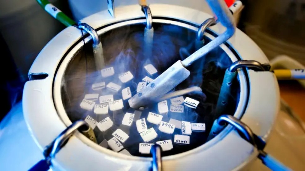 O esperma é congelado até ser necessário para as famílias. — Foto: Getty Images via BBC