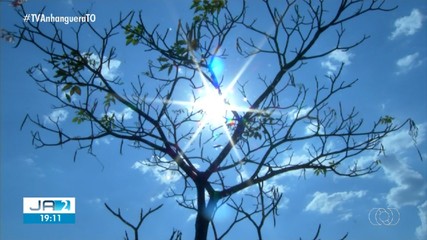 Onda de calor: termômetros podem marcar 45 ºC e sensação térmica deve subir