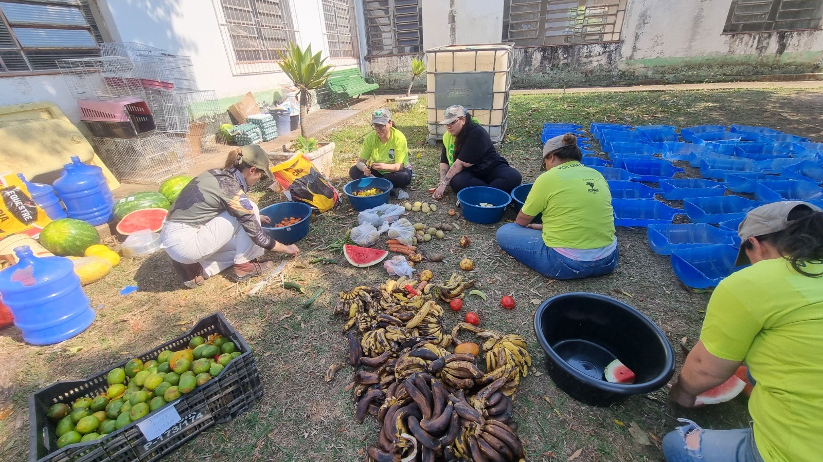 Equipes instalam comedouros e bebedouros para animais afetados por incêndio na Flona de Ipanema