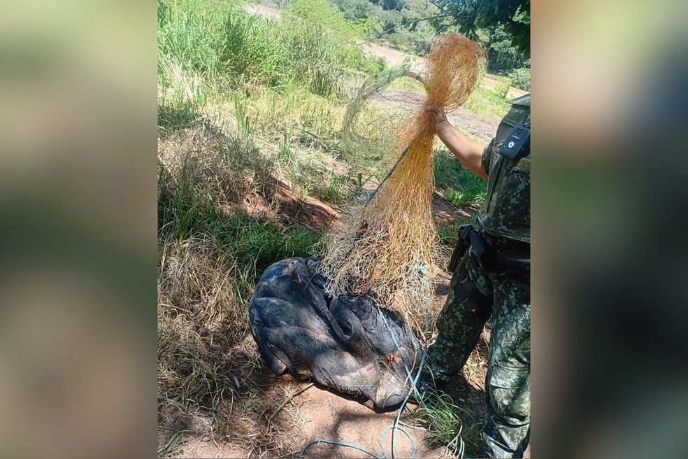 Tarrafa era usada para a pesca predatória e foi apreendida durante a ação — Foto: Polícia Ambiental/Divulgação