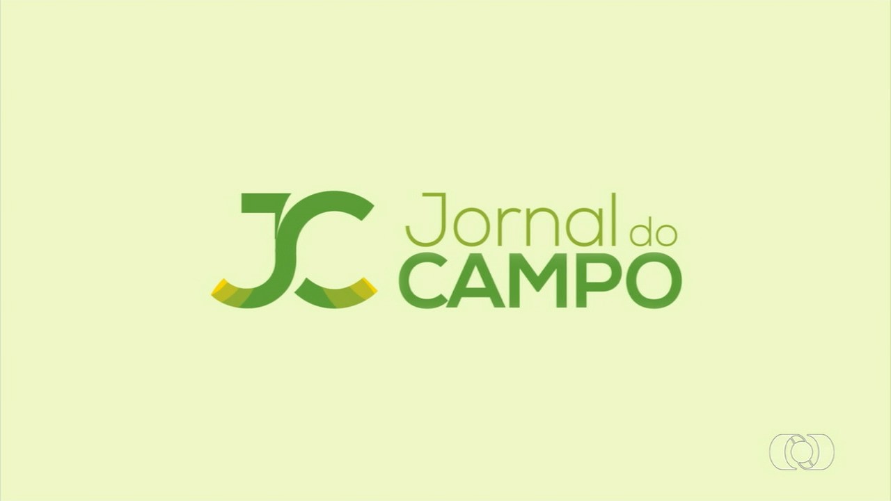 VÍDEOS: Jornal do Campo TO de domingo, 31 de março