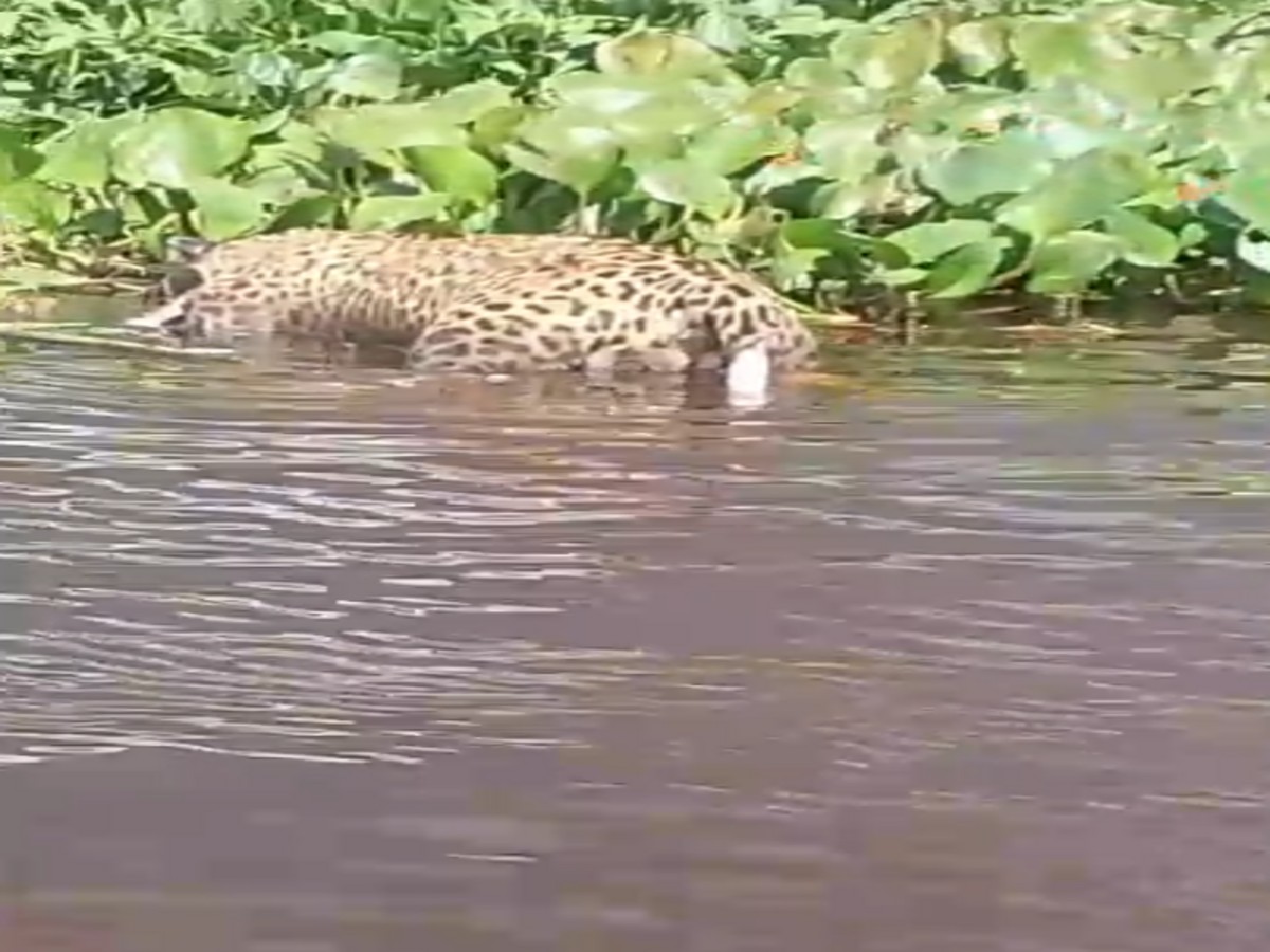 Você Não Tá Convidada pro Meu Bat Mitzvá!