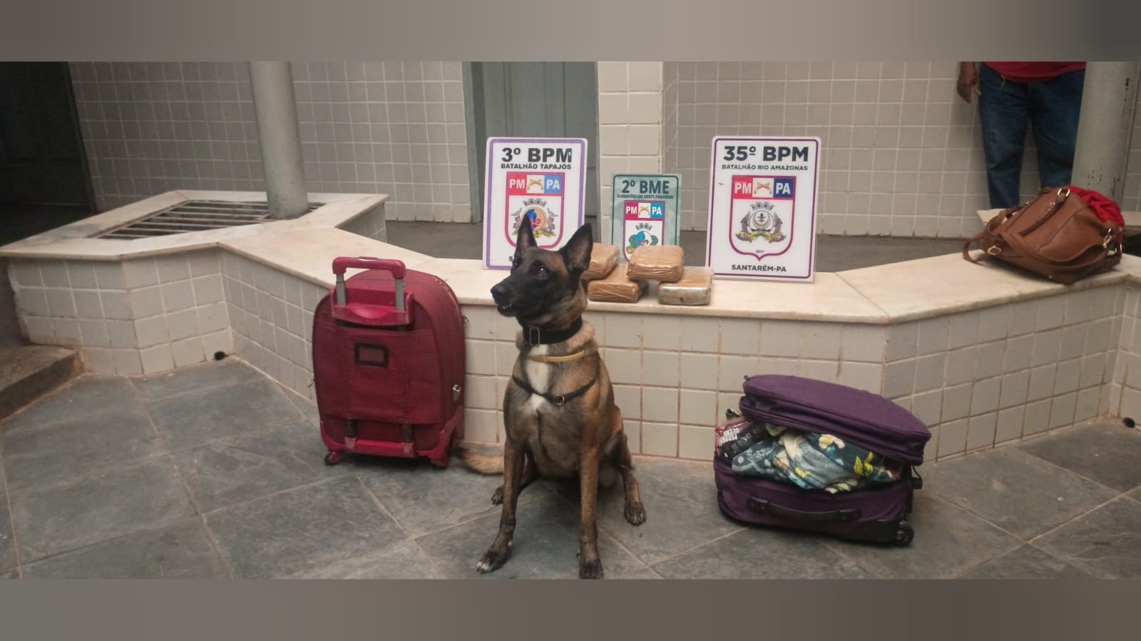 Após denúncia, PM apreende cerca de 5 Kg de drogas dentro de uma embarcação em Santarém