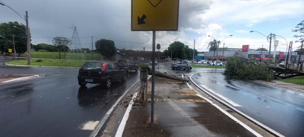 &Aacute;rvores e postes ca&iacute;ram sobre ruas depois de temporal em Rio Preto (SP) &mdash; Foto: Rodrigo Carraro/TV TEM