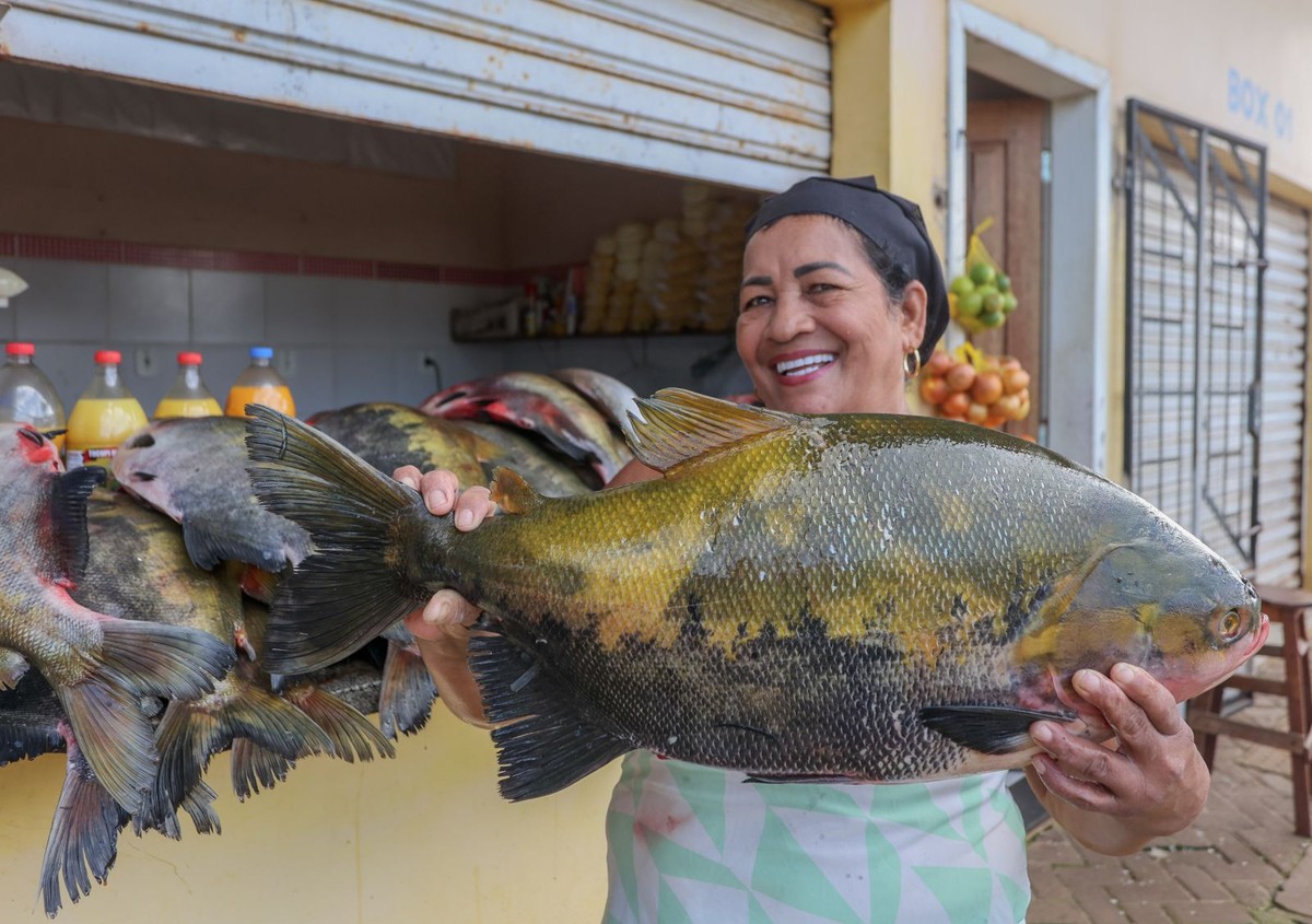 Saiba onde comprar peixe fresco para a Sexta-feira Santa em Porto Velho