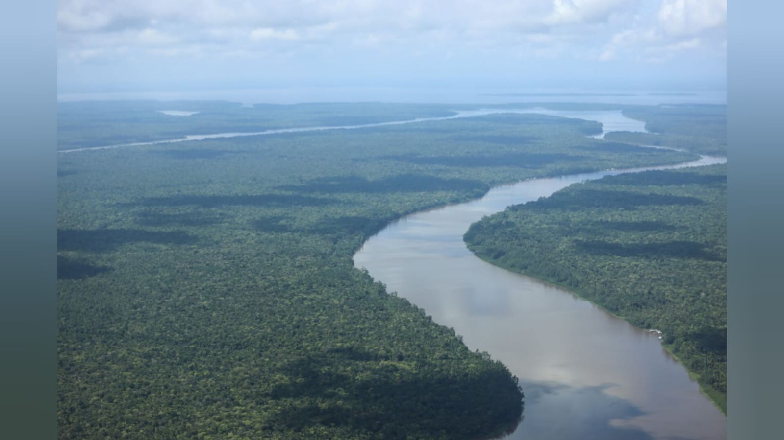 Rurópolis e Placas estão entre os municípios com menor índice de desmatamento no Pará