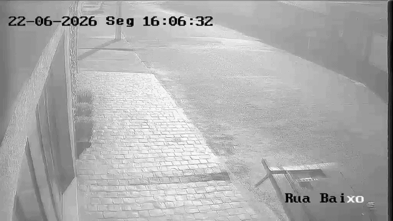 VÍDEO: Homem furta TV e sai com ela nas costas em Uberlândia