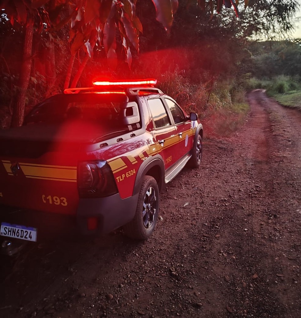 Afogamento mobiliza bombeiros em Araguari &mdash; Foto: Corpo de Bombeiros/Divulga&ccedil;&atilde;o