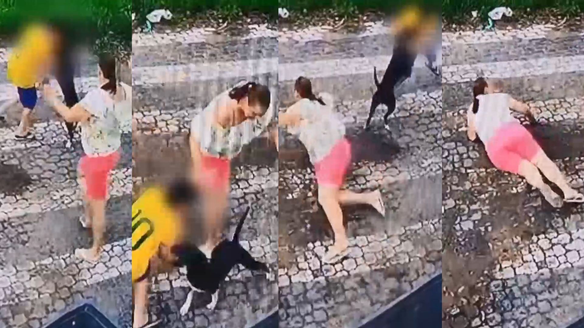 VÍDEO: Mãe cai ao tentar proteger filho de 10 anos durante ataque de cachorro no ES; 'pulou no pescoço dele'