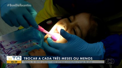 Escova de dentes precisa ser armazenada em boas condições