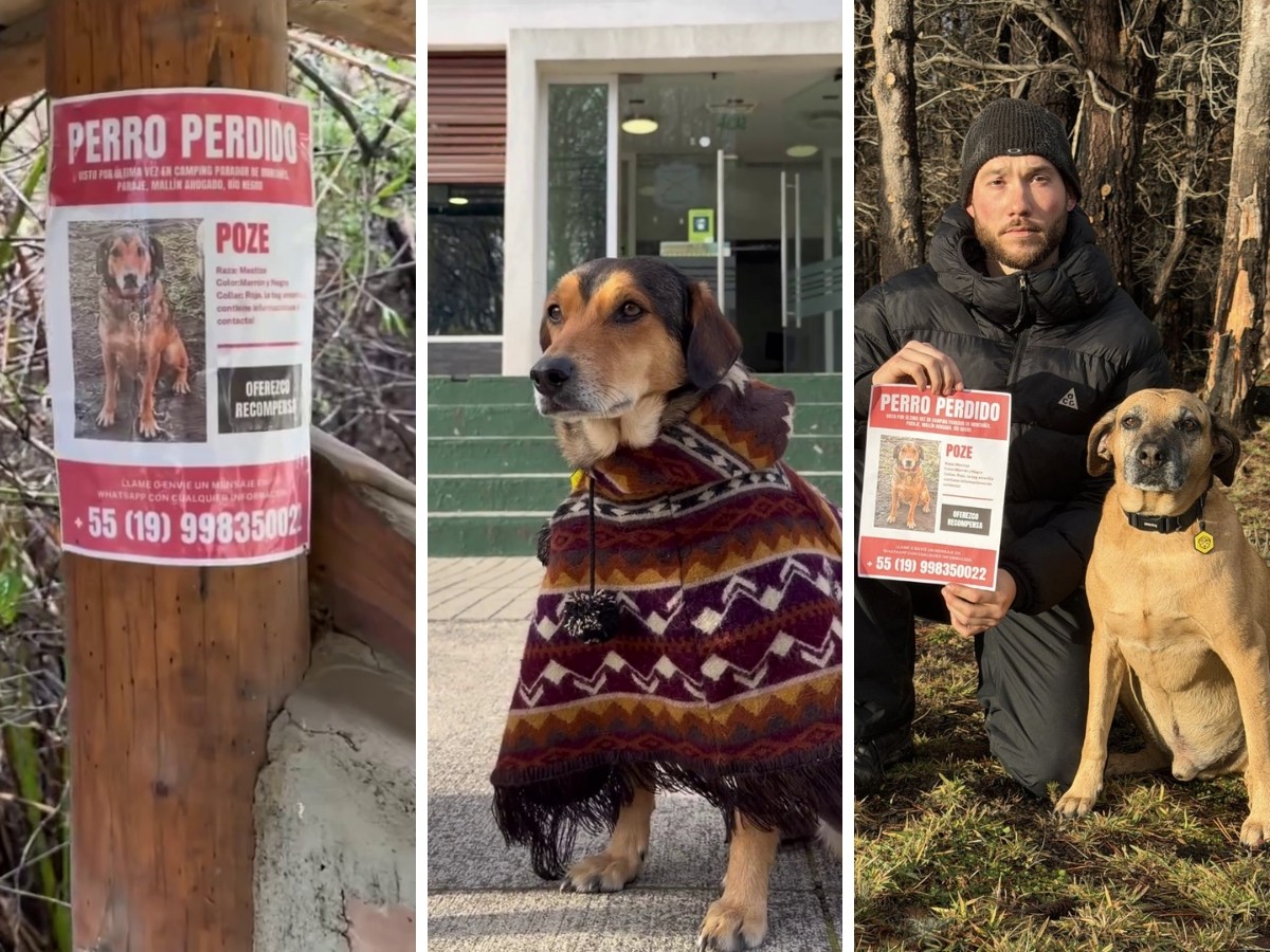 Febre na internet, 'Frentiscão' de Campinas desaparece durante viagem à Patagônia; família mobiliza buscas