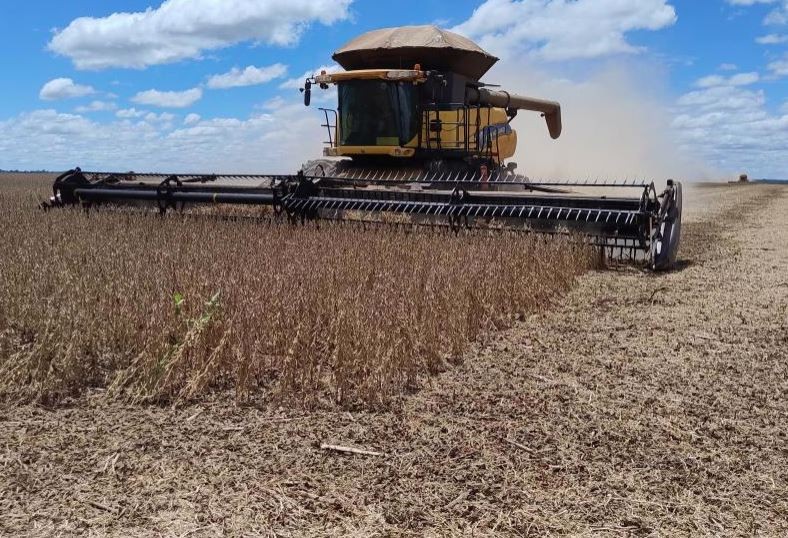 Mesmo com estresse hídrico afetando 38,9% da área cultivada, MS projeta uma das maiores safras de soja da história