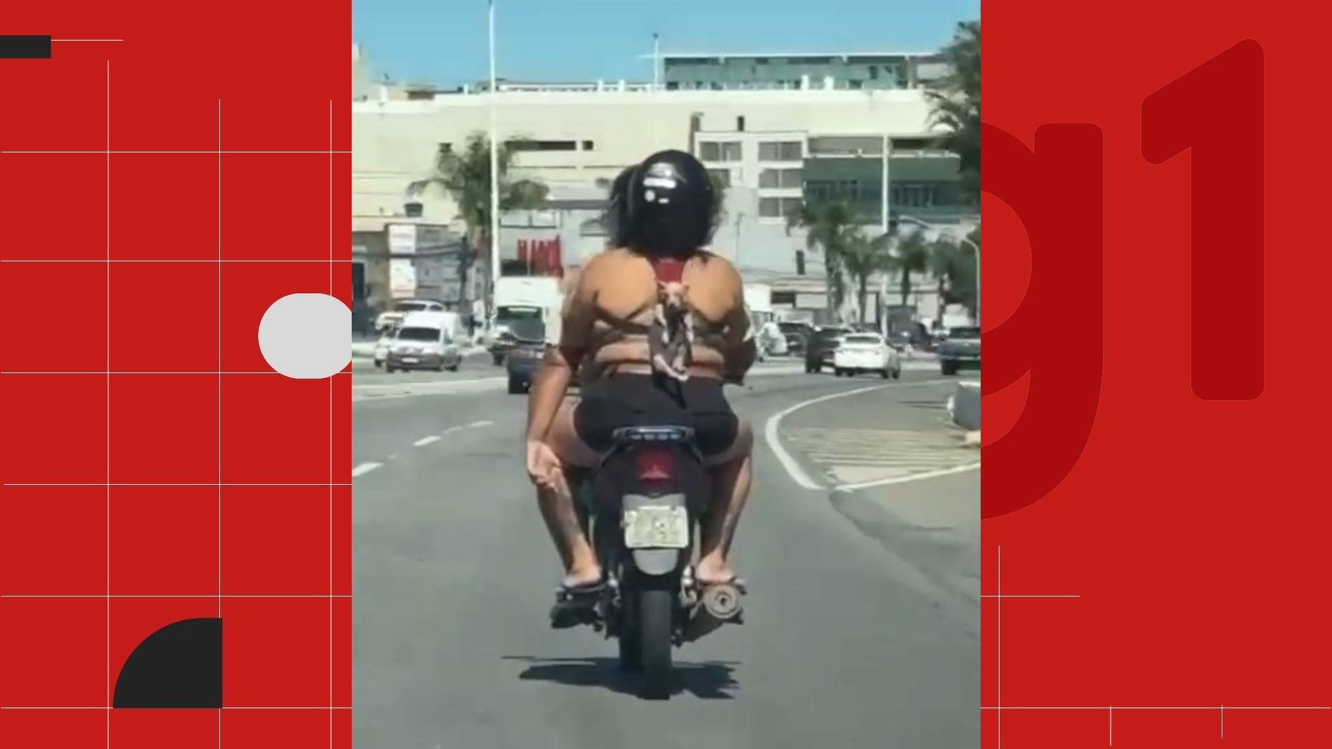 VÍDEO: cachorro é transportado amarrado nas costas de garupa de moto no ES