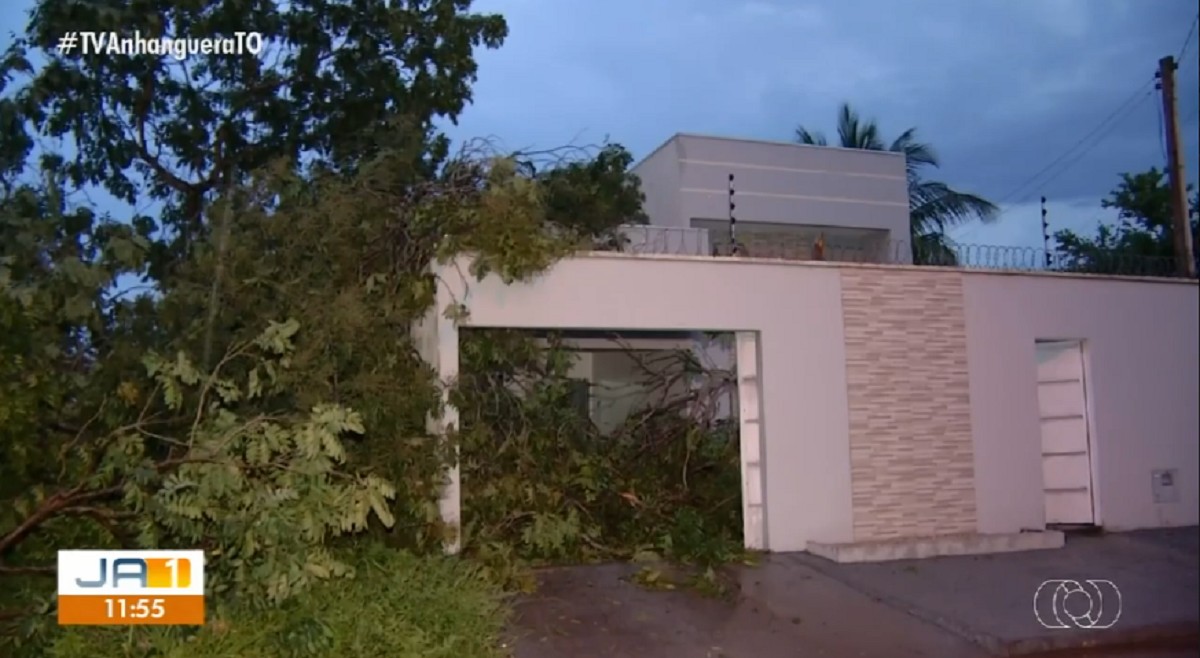 Temporal e ventania derrubam árvores e provocam estragos em quadras da região sul de Palmas; VÍDEO