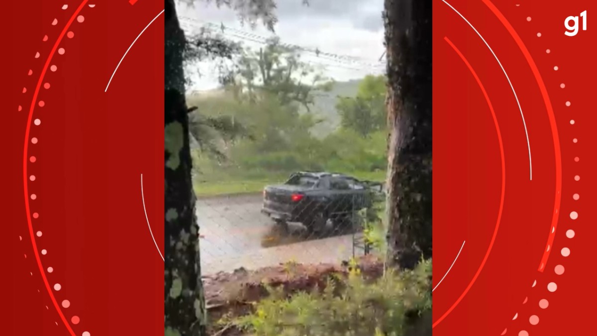 MP pede que polícia volte a investigar se vereadora do Paraná tentou ajudar em fuga de vereador embriagado que matou idoso atropelado