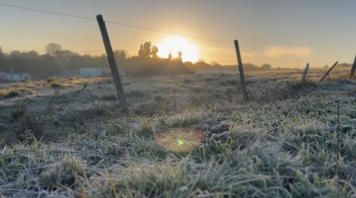 'Bagelo': município do RS tem amanhecer com mínima de -1,2ºC; veja imagens