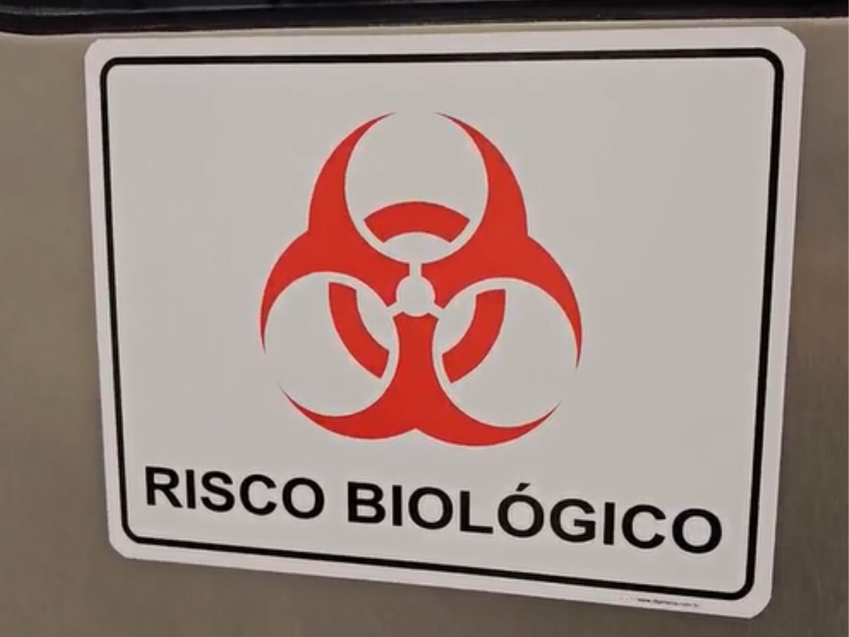 Como animais vão ajudar em estudos de vírus mais letais do mundo no 1º laboratório de biossegurança máxima do Brasil