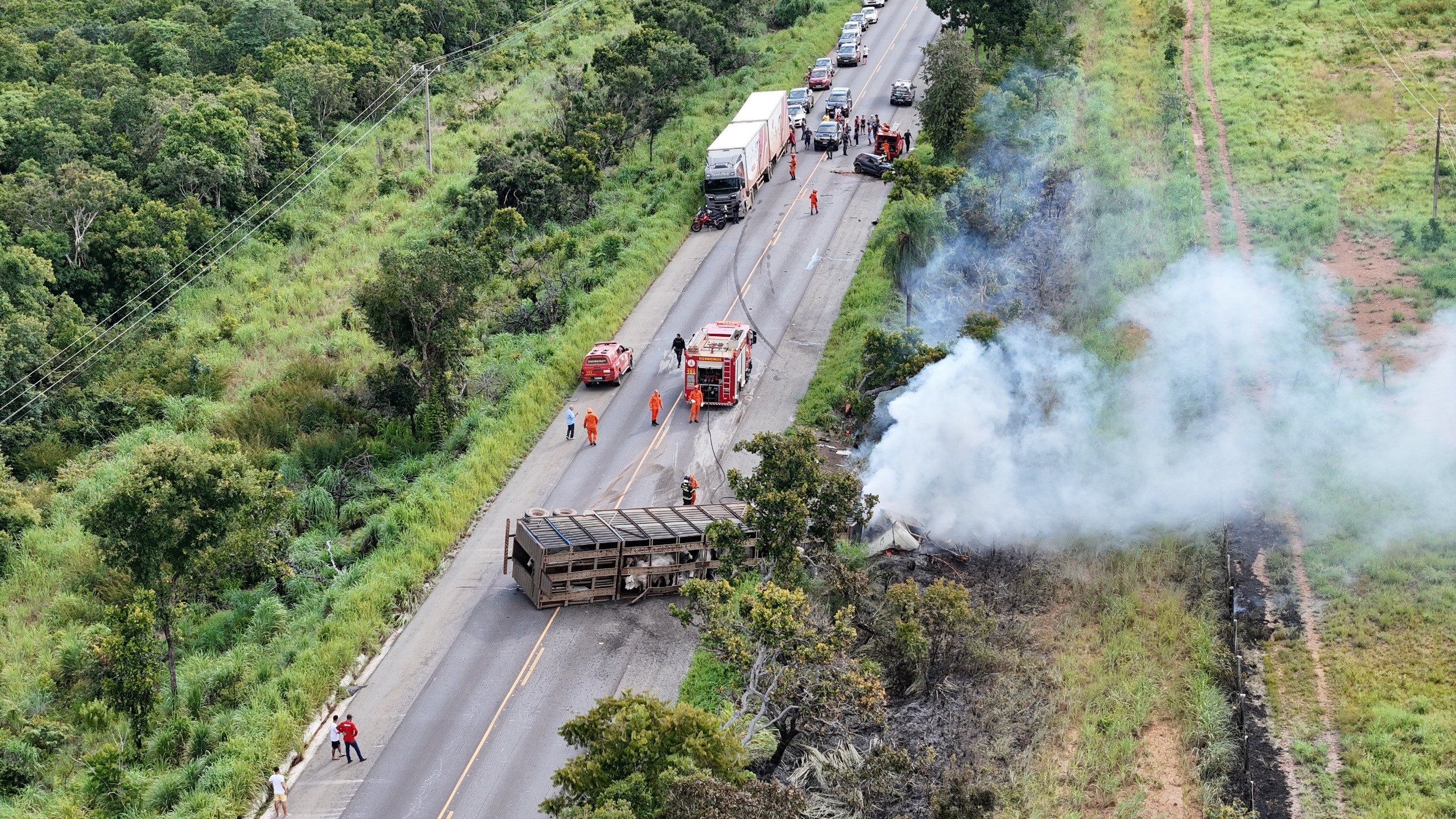 Motorista morre após acidente com caminhão que transportava mais de 10 gados em MT