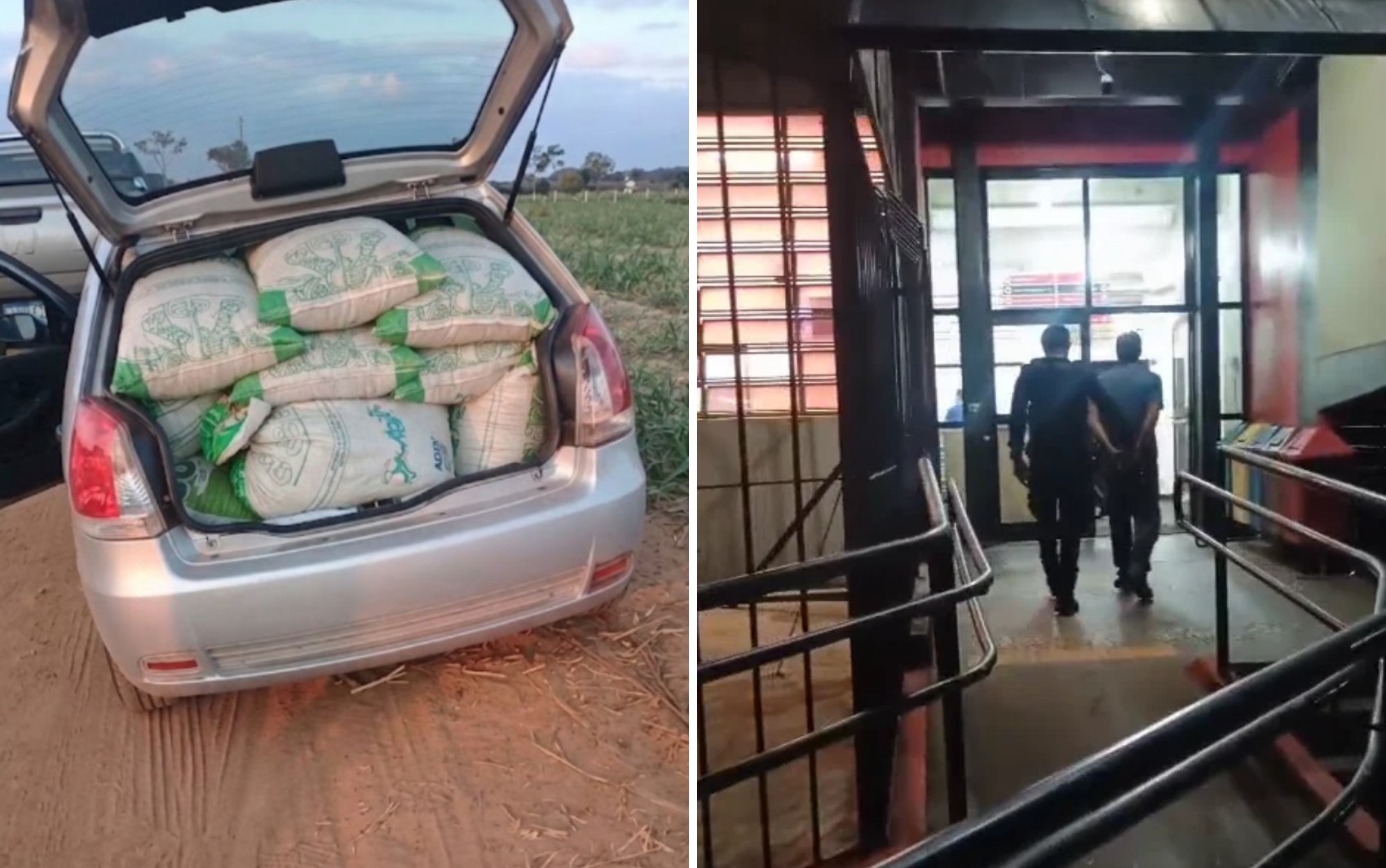 Homem é preso por suspeita de desviar sacas de café de fazenda onde trabalhava em Pedregulho, SP