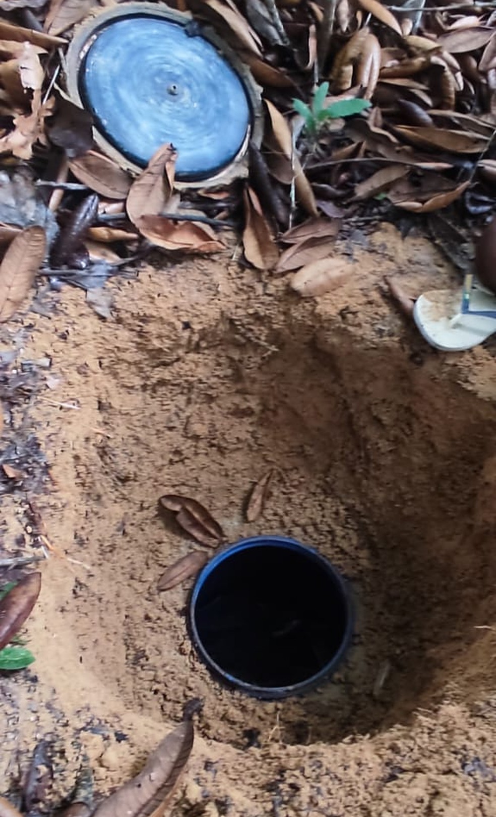 Operação no extremo sul da Bahia apreende mais de meia tonelada de drogas em área de mata — Foto: Divulgação/SSP