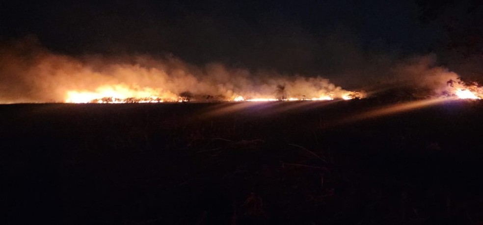 Focos de incêndio na área de conflito em Douradina (MS). — Foto: Cimi/Reprodução