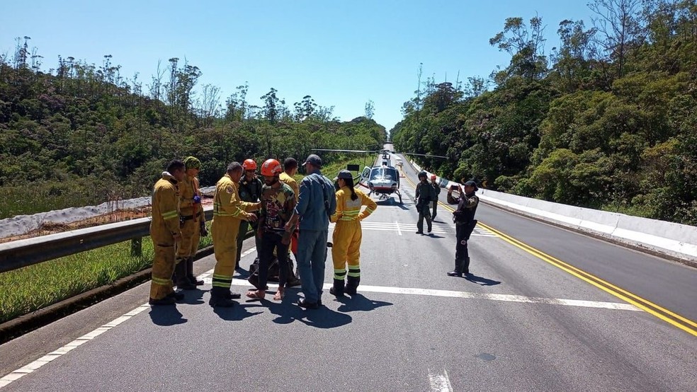 Equipes do Comando de Aviação e Corpo de Bombeiros auxiliaram no resgate — Foto: Divulgação/Fundação Florestal