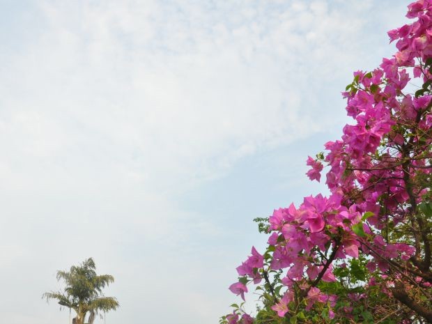Cidade do PI registra 13ºC nesta sexta (3); municípios do Sul do estado podem ter temperaturas mais baixas