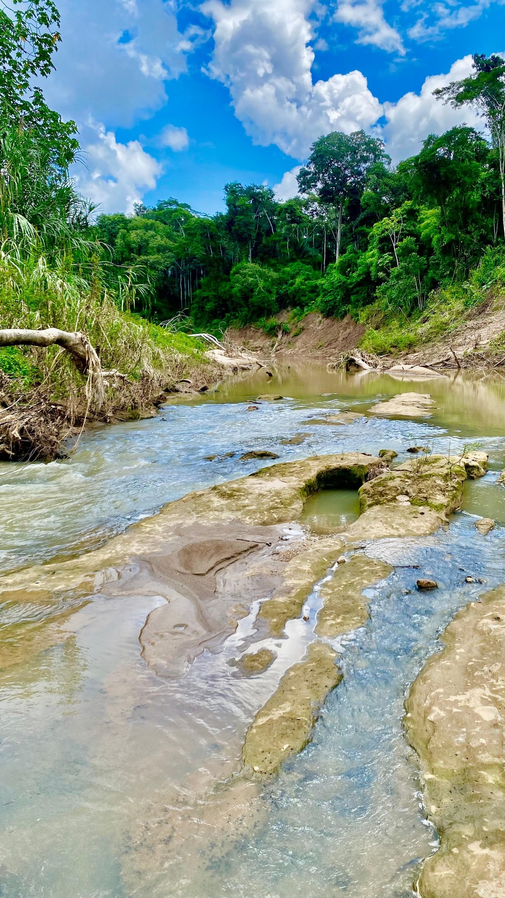 Pode demorar até 5 dias para chegar a Esec no interior do Acre — Foto: Divulgação/ICMBIO