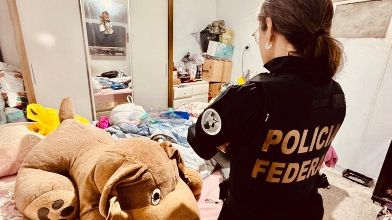 PF prende homem em Araraquara com arquivos de pornografia infanto-juvenil 