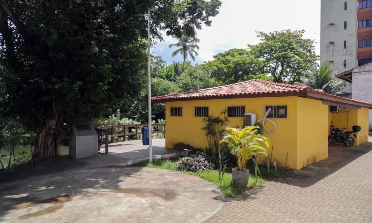 Projeto oferece atendimento psicológico gratuito em Salvador; saiba mais 