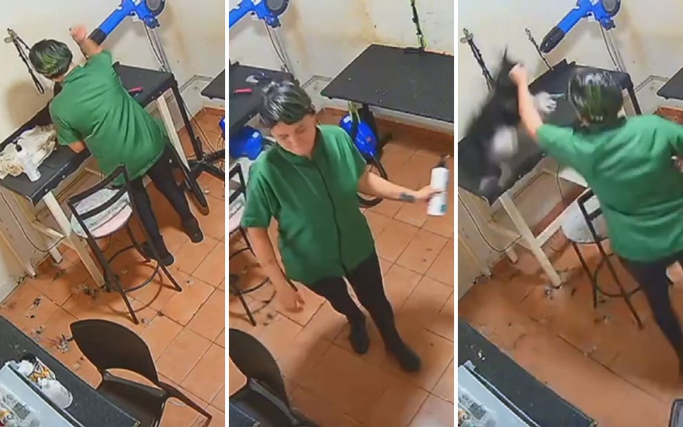 Vídeo mostra funcionária Laurice Damasceno dançando e rindo entre agressões a cadela em pet shop de Goiânia — Foto: Reprodução/Câmeras de segurança