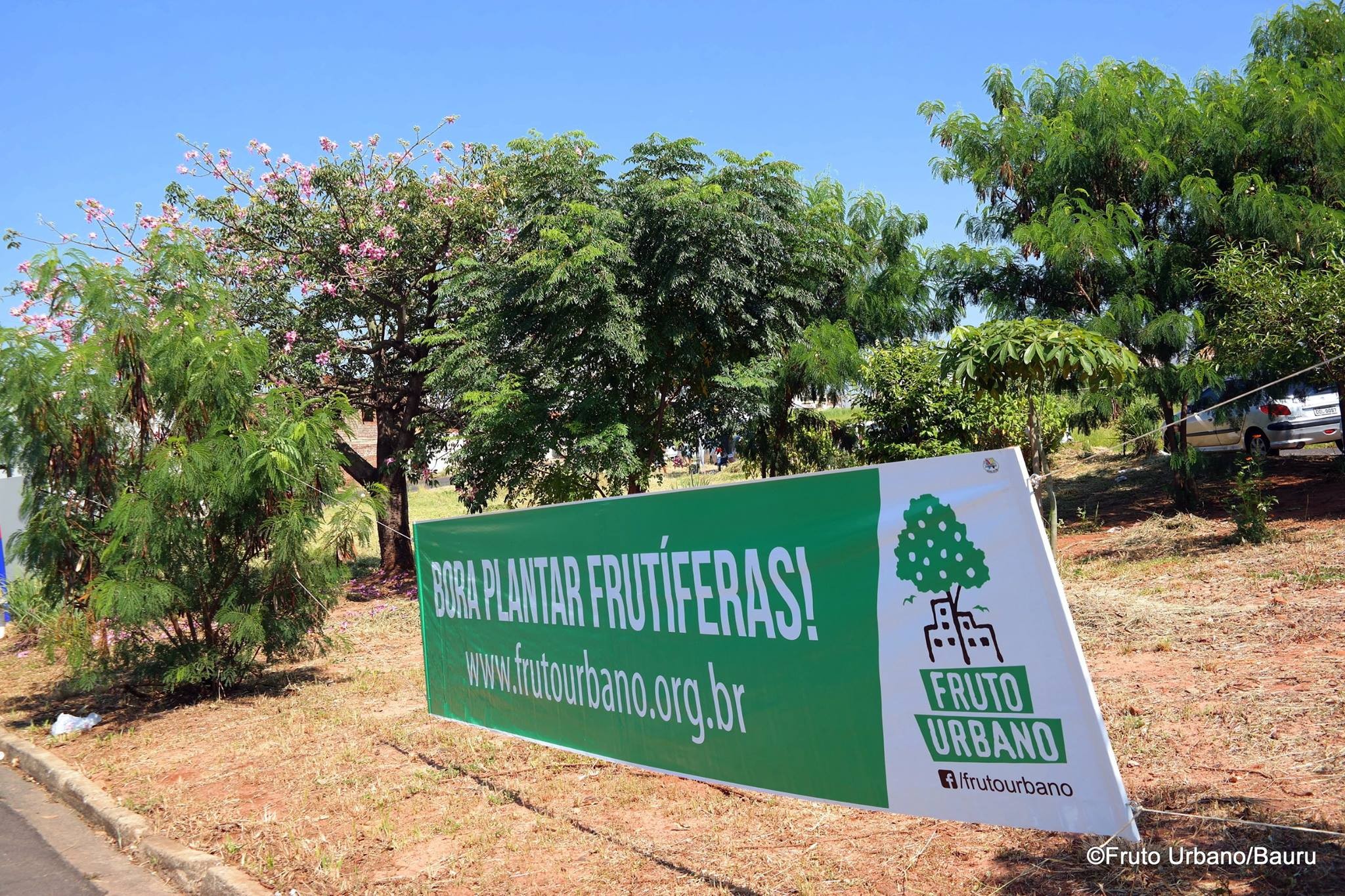 Projeto Fruto Urbano promove plantio de árvores e yoga ao ar livre em praça de Bauru