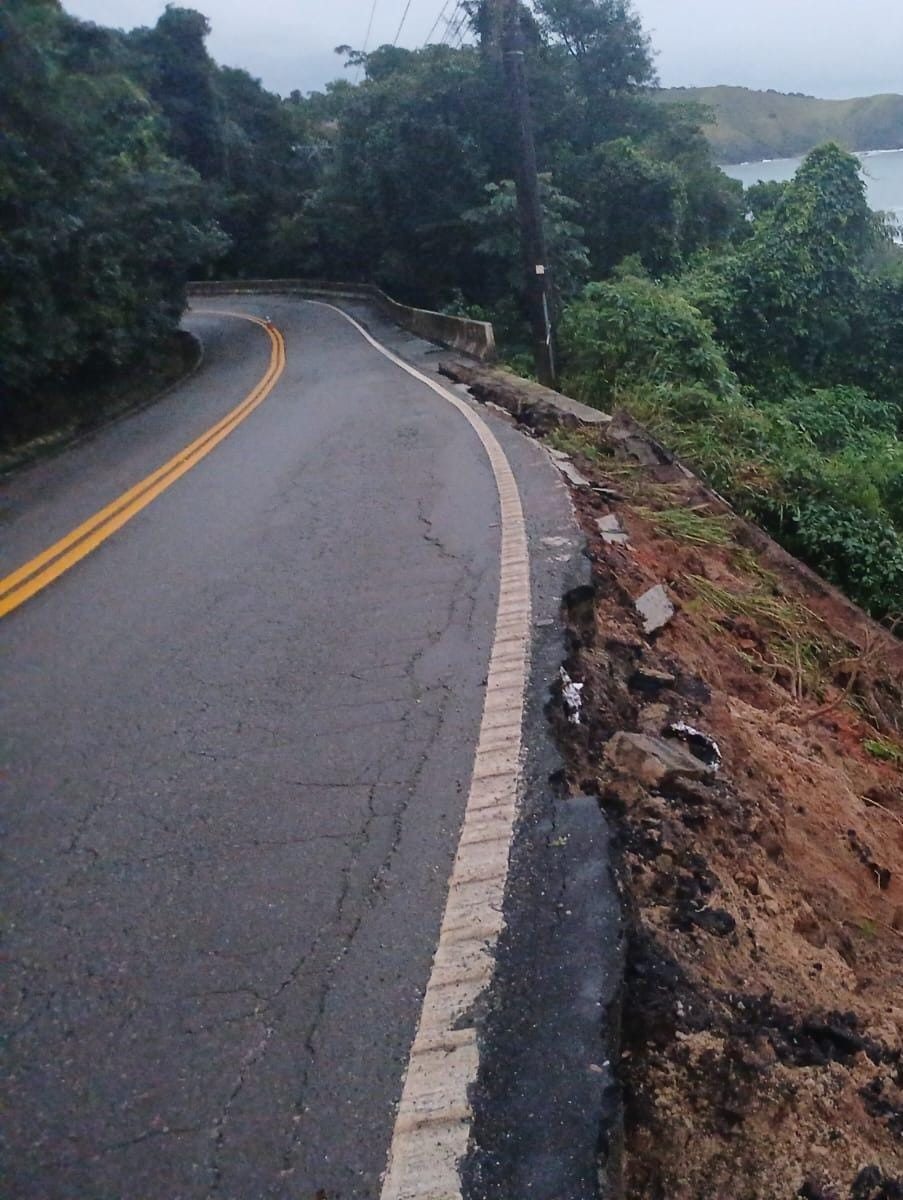 Chuva persistente causa queda de árvores sobre casas e deslizamento de terra em rodovia de São Sebastião