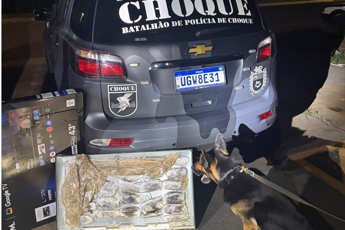 Cão farejador do Choque descobre TV recheada de maconha e jovem acaba preso em Campo Grande