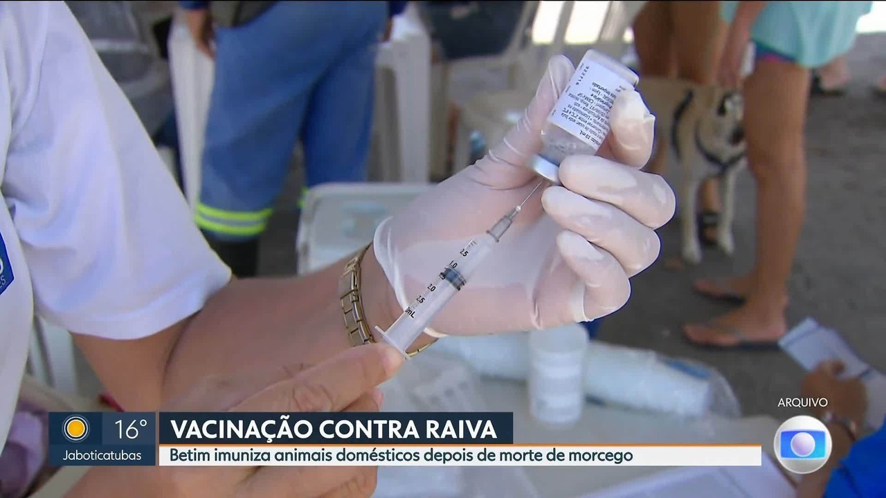 Betim faz vacinação antirrábica emergencial em animais após confirmação de caso em morcego; veja onde vacinar