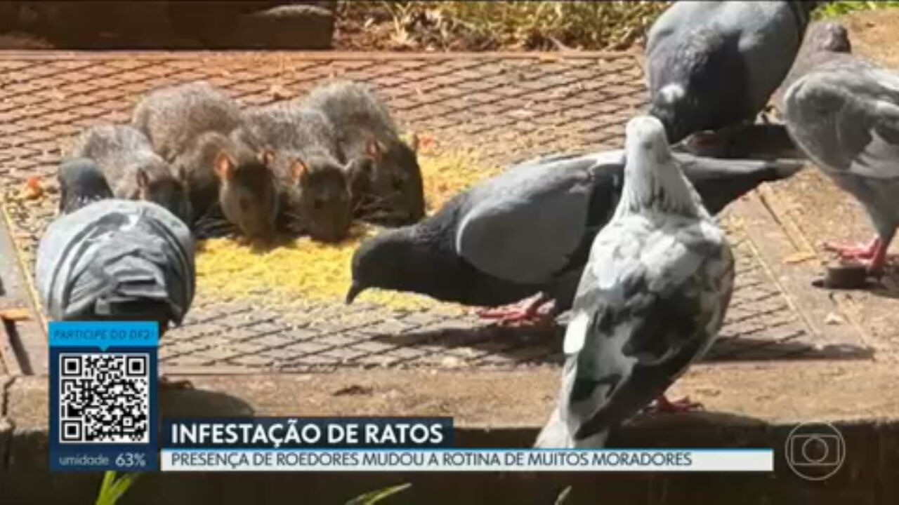 VÍDEOS: DF2 de segunda-feira, 25 de maio de 2026