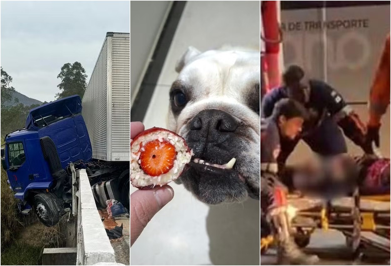 Você viu? Carreta com toneladas de encomendas fica pendurada em ponte, morango do 'aumor' e pedestre atropelado por ônibus em Juiz de Fora