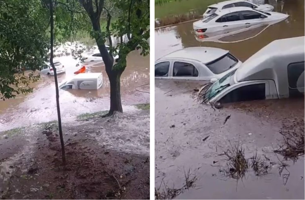 Avenida 23 de Maio ficou alagada e carros acabaram submersos. &mdash; Foto: Reprodu&ccedil;&atilde;o/Arquivo pessoal