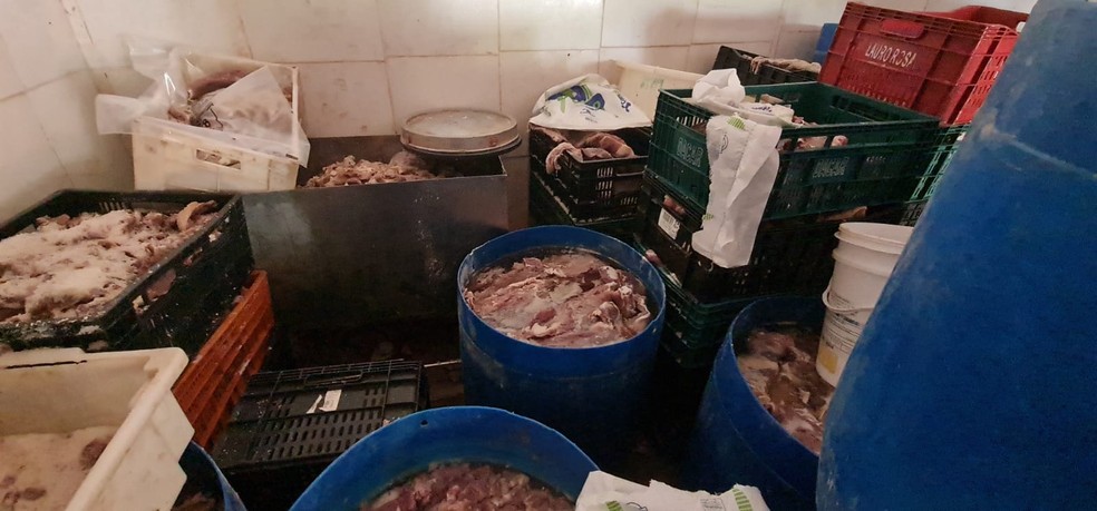 Polícia Civil apreendeu em Sumaré (SP) duas toneladas de carne para descarte que seria processada para ser revendida à população — Foto: Polícia Civil