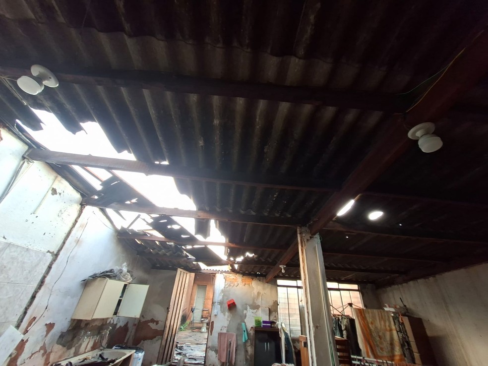Forte chuva atinge Teodoro Sampaio e provoca quedas de árvores — Foto: Reprodução/Defesa Civil