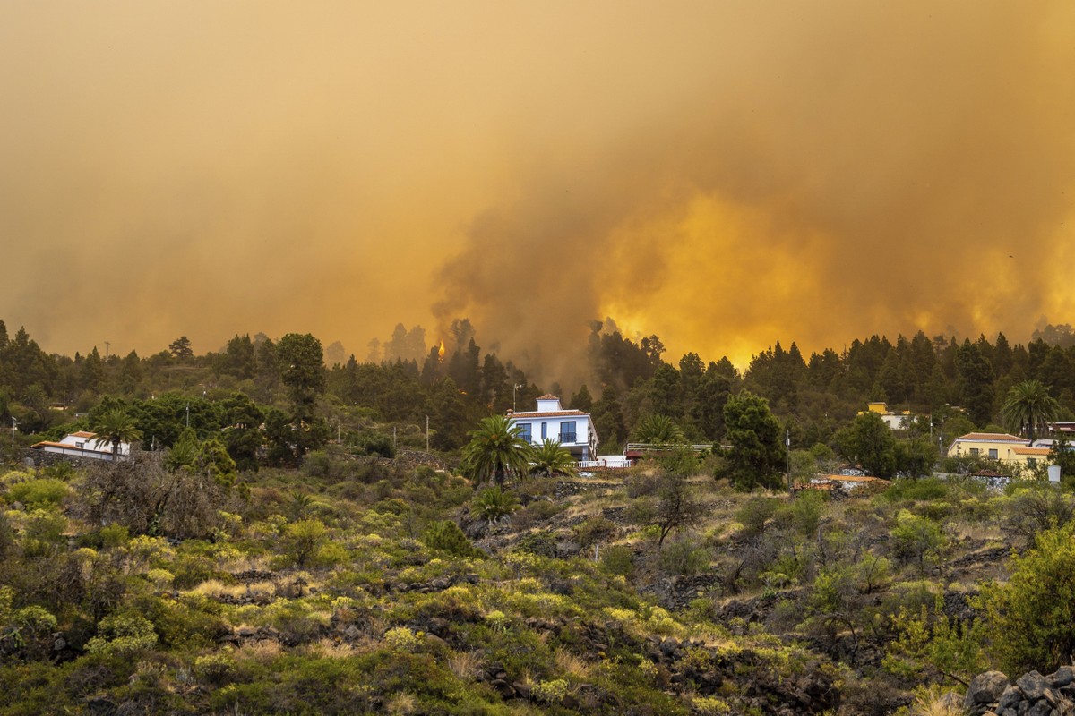 incendios azotan las Islas Canarias de España en medio de una ola de calor en el hemisferio norte |  Mundo