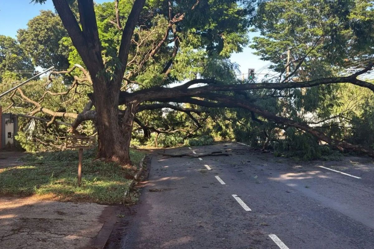 Temporal causa queda de energia e deixa moradores sem luz em Campo Grande