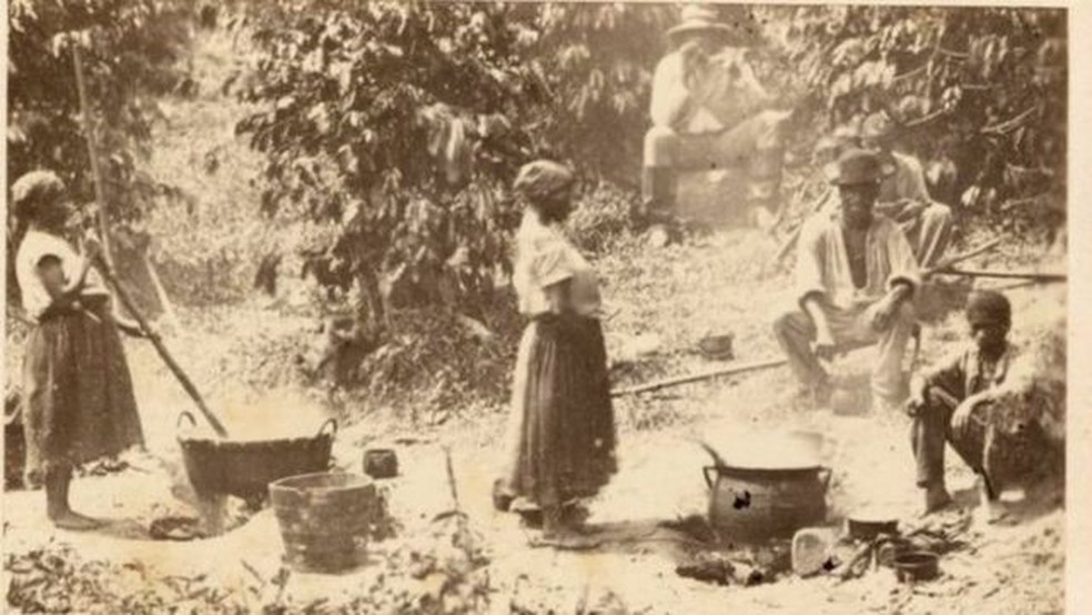 Homens e mulheres escravizados trabalhando em fazenda de café no Brasil — Foto: NY Public Library