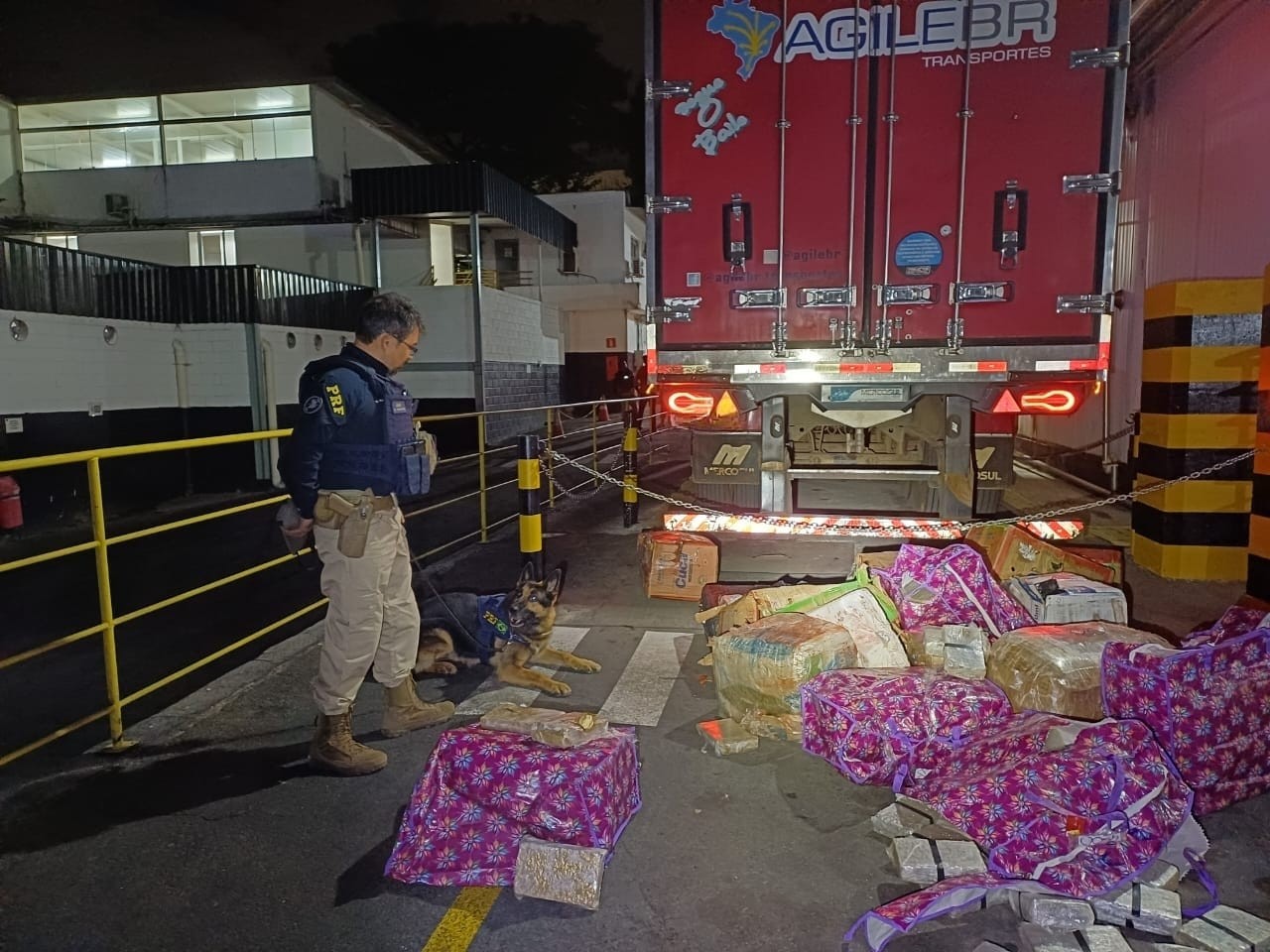 PRF apreende 400 kg de maconha escondidos em carga de carne na BR-262