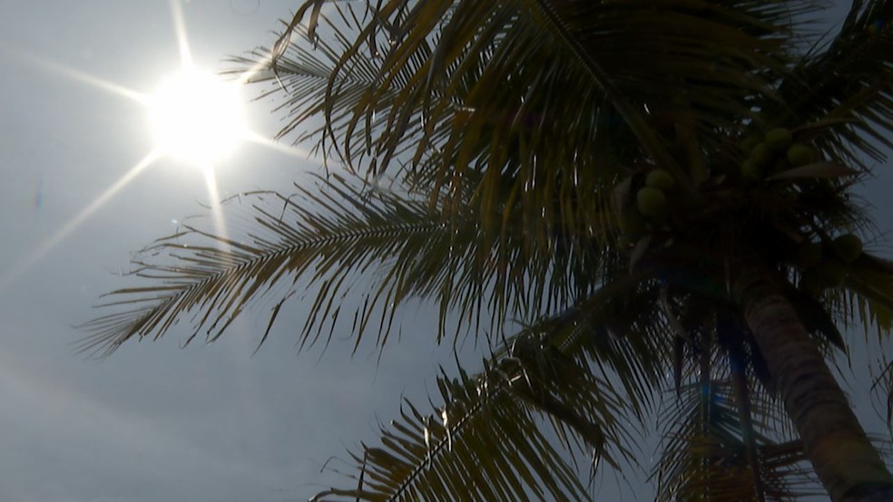 Aulas tiveram alterações por causa do calor em Uauá — Foto: Reprodução EPTV